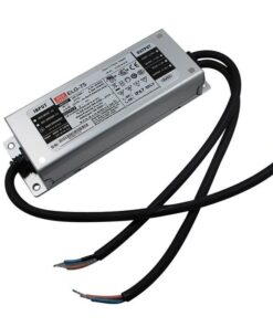 Bộ nguồn LED Meanwell ELG-75-C700AB (75W 107V 700mA)