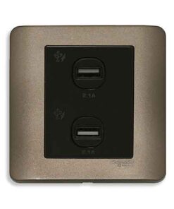 Ổ sạc USB đôi 2.1A Schneider E8432USB_SZ_G19
