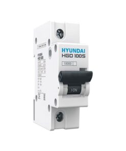 MCB Hyundai HGD100S 1P 100A 10kA