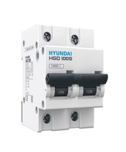 MCB Hyundai HGD100S 2P 100A 10kA