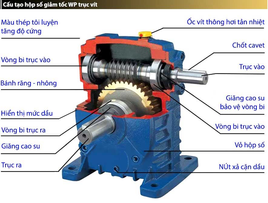 Hộp giảm tốc Trục Vít WPS 135 1/20 (70 Vòng/phút) 5 cau-tao-hop-giam-toc-wps