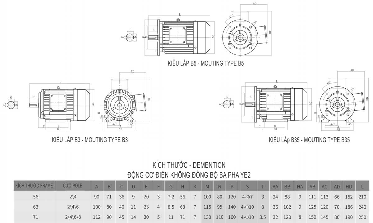 Motor điện MS-63M-4-B3 0.18kW 3 Pha 3 lap-dat-motor-bgm