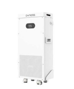 Pin lưu trữ Dyness 16kWh-Power Brick SC 51.2V/314Ah